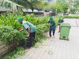 Horticulture and Gardening Services